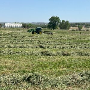 Meet your Posher, Misty